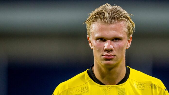 haaland